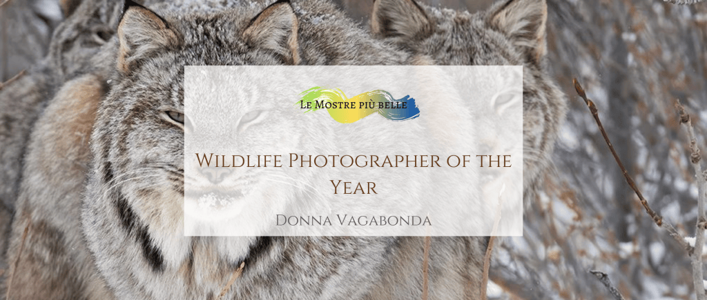 Wildlife Photographer of the Year 2024: 60esima edizione a Milano ...